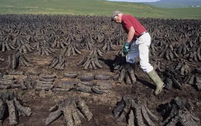 驭凡学堂关于威士忌，你是否有很多问号？