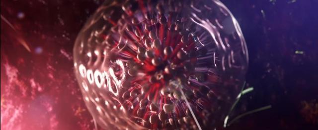 看完之后再也不想吃草莓了,看完你可能不想吃草莓了