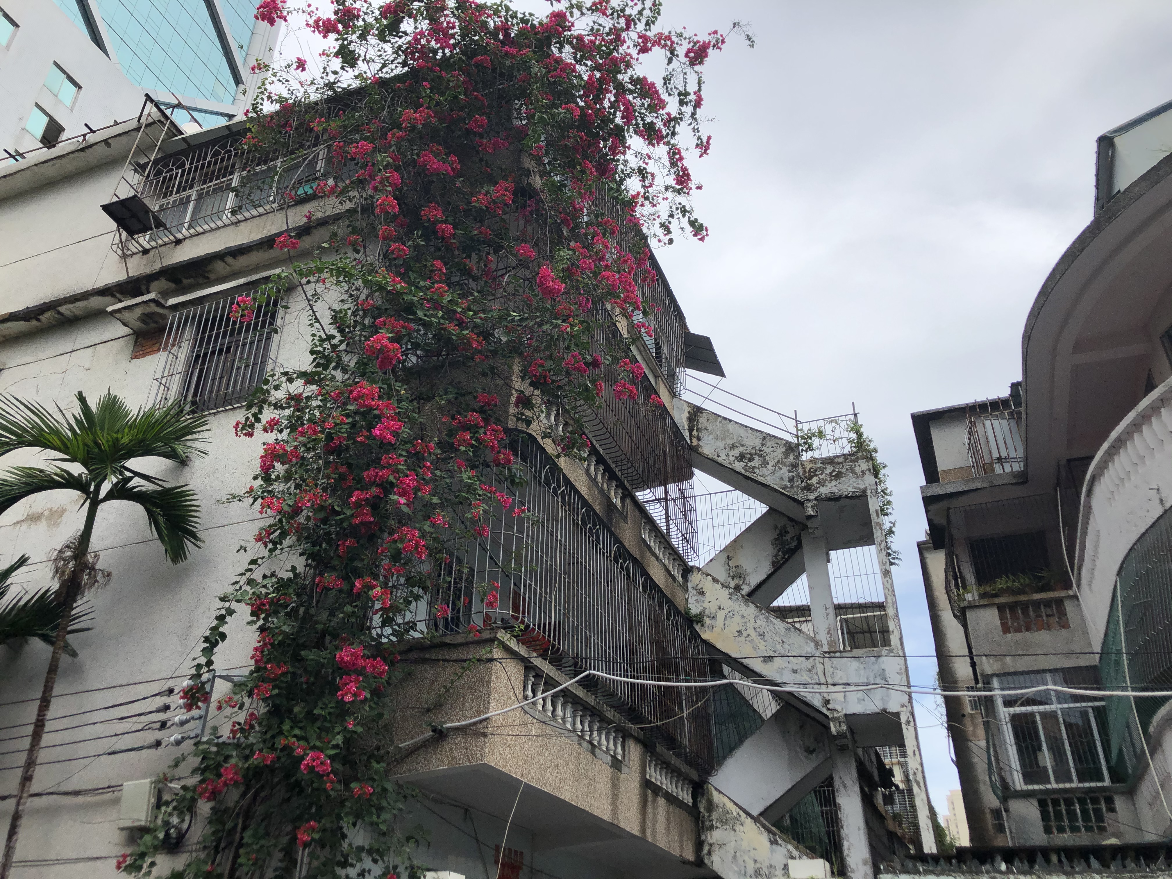 海口为什么容易出现内涝,海口小区内涝