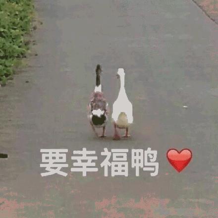 上海堡垒导演滕华涛道歉原视频,上海堡垒导演滕华涛鹿晗