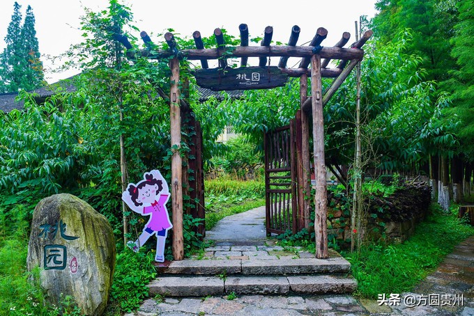 这个夏日，看这个美女如何在浙江乌村的第一百种玩法