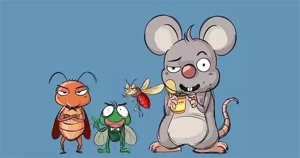 创卫漫谈爱国卫生,创卫组织管理工作资料