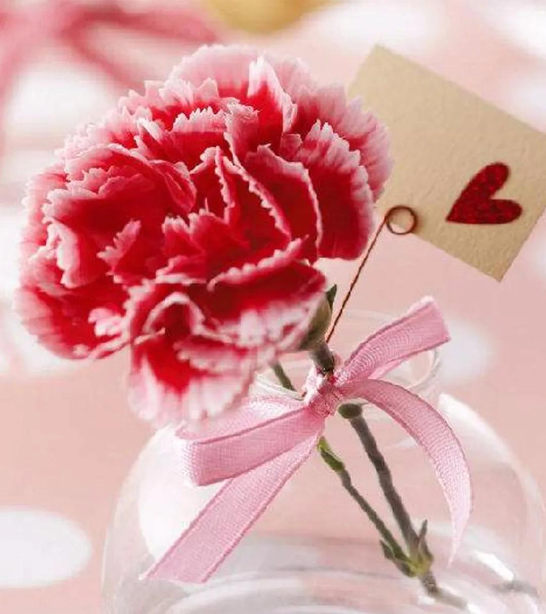 这是一篇母亲节终极领奖指南！孕妈宝妈要的都在这