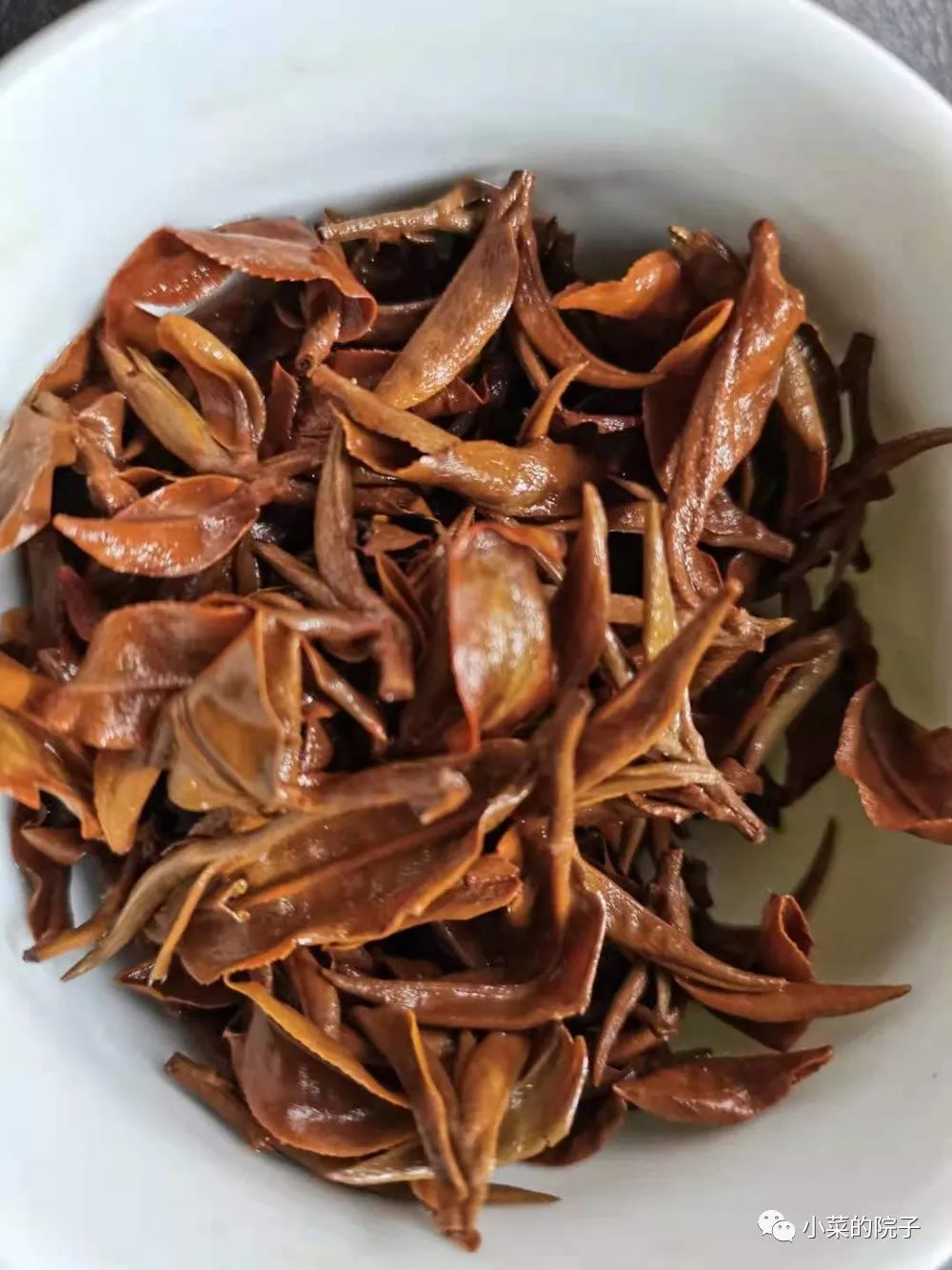 不如吃茶去林清玄读后感,不如吃茶去林清玄朗诵合拍