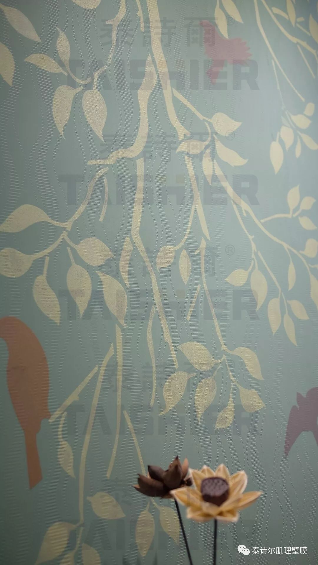 旧墙翻新太头疼？泰诗尔帮你一步解决墙面烦恼！