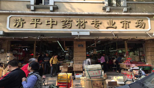 地牯牛虫收购多少钱一斤,地牯牛多少一斤