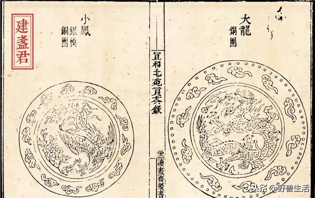 养胃抗衰老刮油的茶,喝这个茶竟能抗衰老