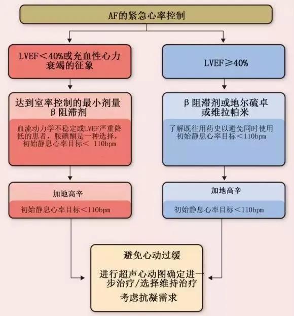 重症患者发生房颤如何处理,高血压合并房颤的急诊处理