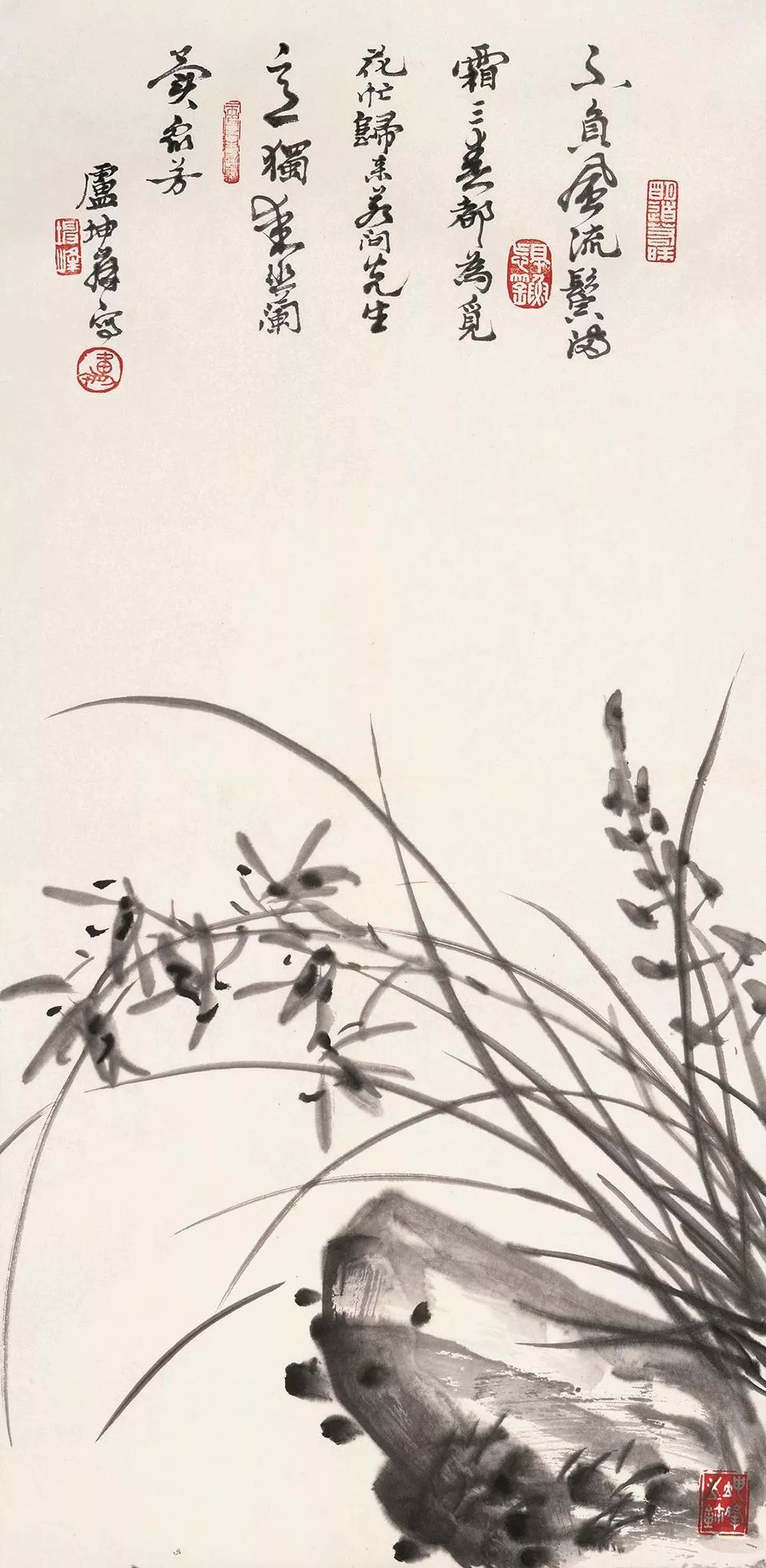 如何画兰花图片大全大图,怎么样画兰花才能好看