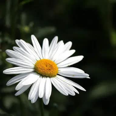 推荐好用的祛斑套盒,祛斑套盒推荐测评