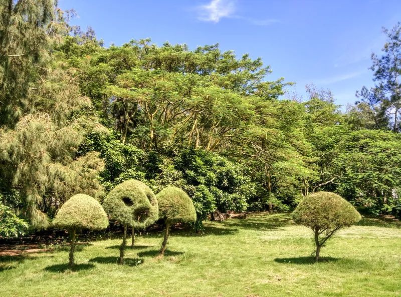 鐏北宀涙毚椋庨洦瑙嗛,鐏北宀涙毚椋庨洦