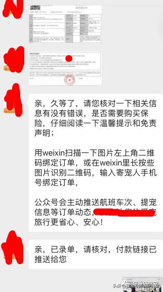 宠物托运全过程狗狗,宠物托运全过程国外