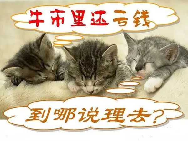 坤鹏股票讲解视频,坤鹏论投资最新消息