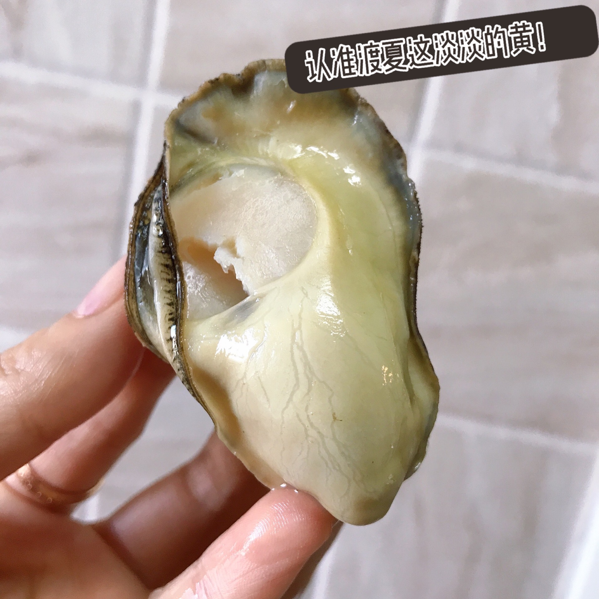 一入豪门深似海下一句是什么,一入蚝门深似海从此虾蟹是路人