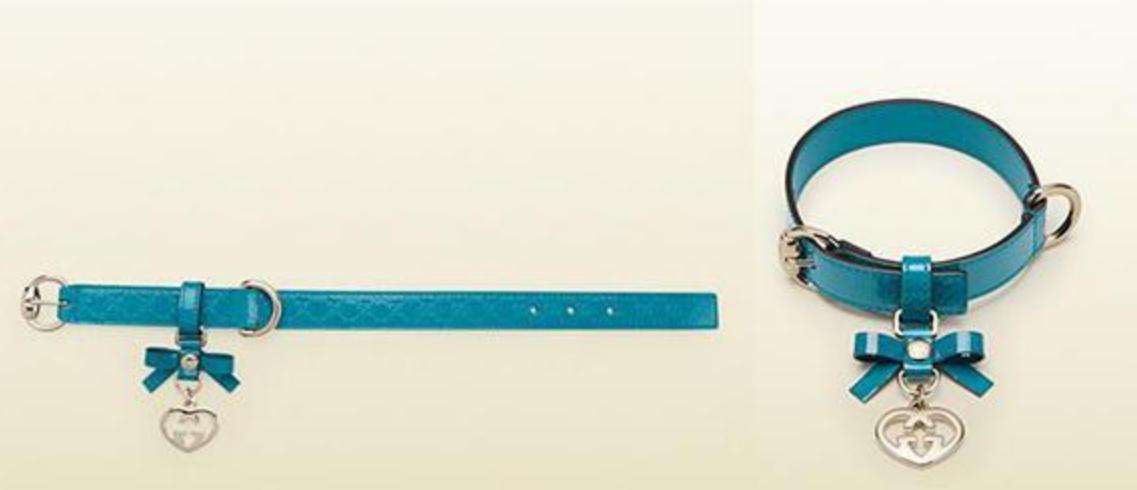 生活在宠物天堂的动物,在天堂的猫狗