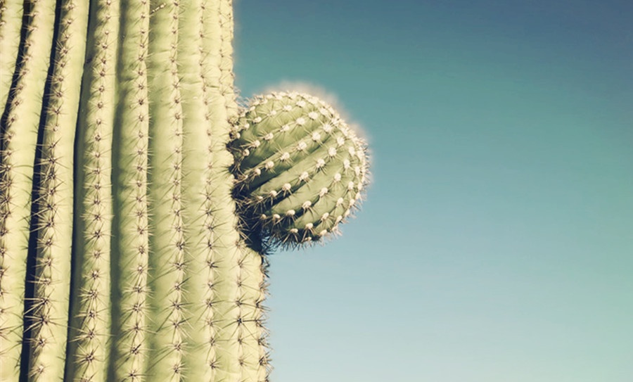 摄影怎么布光才能拍出质感,摄影怎么拍出质感大片