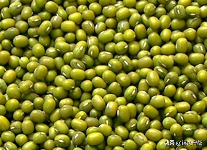 山西阳曲锦绣晋都视频,锦绣晋都山西风情