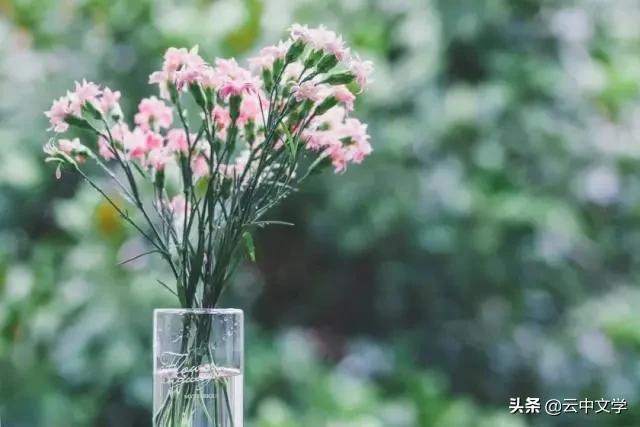 收藏100首夏日诗词带你清凉一夏,100首夏日诗词助你清凉一夏