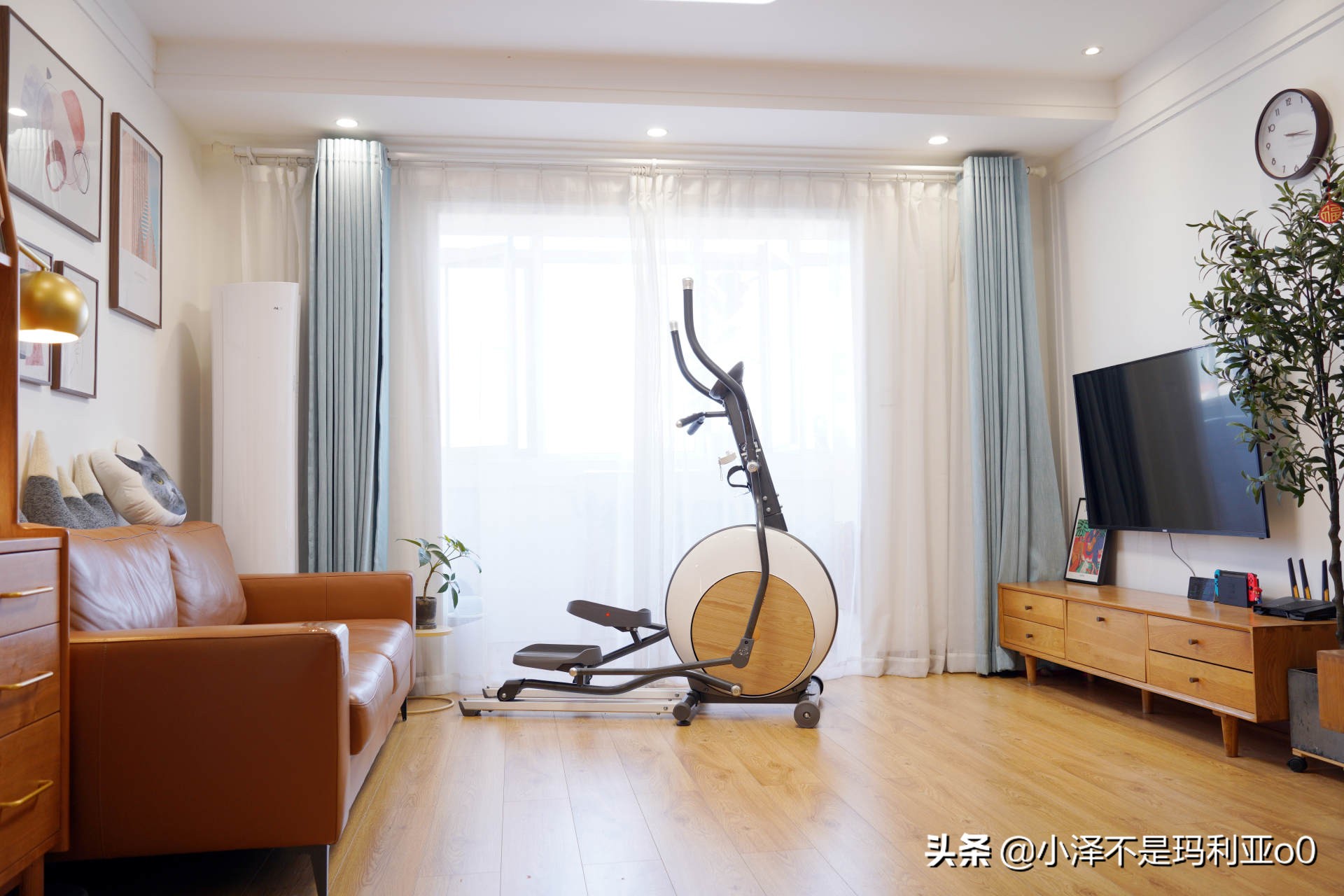 干货输出|细腰翘臀、燃脂塑形，小姐姐手把手教你练习椭圆机