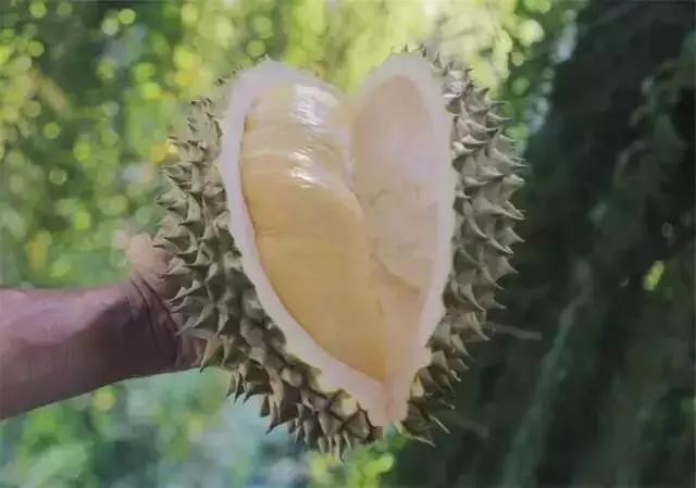 泰国芒果自助,泰国吃喝玩乐攻略榴莲自助餐