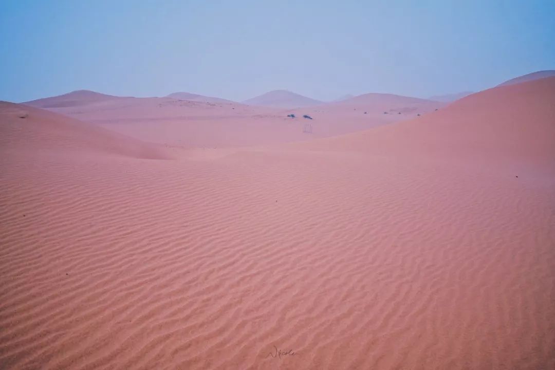 可盐可甜是哪首歌的歌词,可盐可甜出自哪