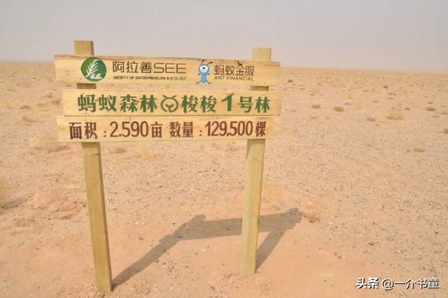 马云马化腾都是靠什么起家,马云马化腾赚钱的方法