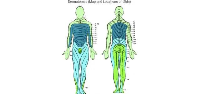 腰痛难起身怎么办,腰痛得坐立难安是怎么回事