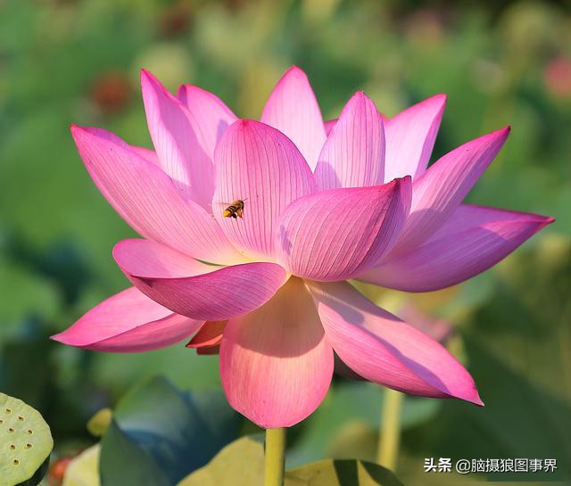 ps摄影后期软件工具使用教程,摄影ps后期工具栏设置