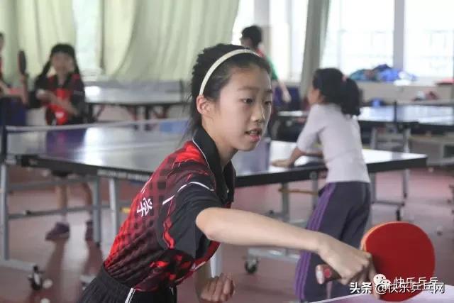 乒乓每天必练,乒乓路