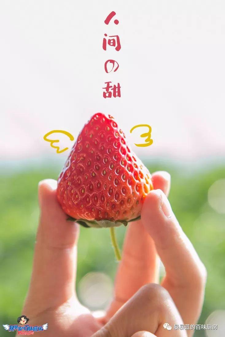 丹东特大久久红草莓,丹东九九大草莓是引进的吗