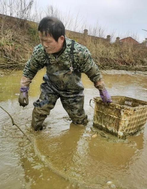 抗击疫情农民人物故事10例,抗疫故事