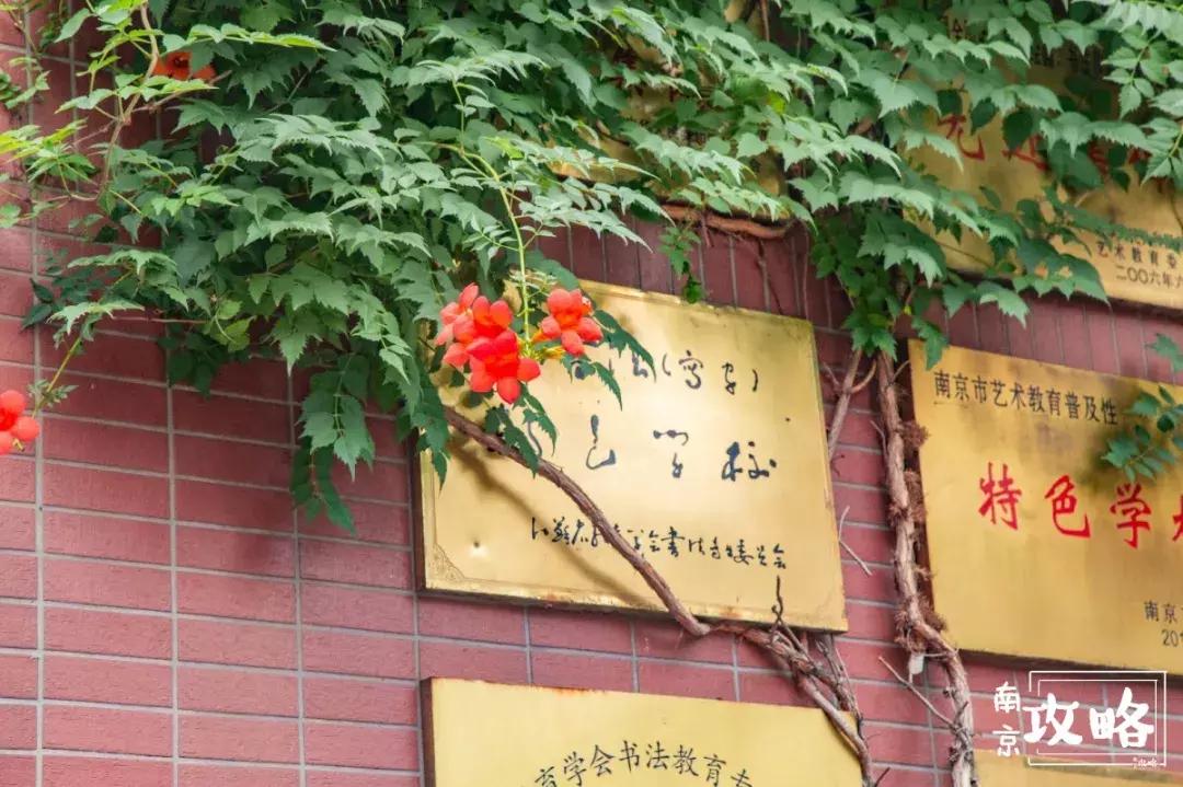 慧园里,南京城中,时光交错的角落