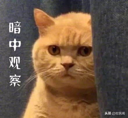 淘宝店主逃税300万判多久,代购商逃税10年判几年