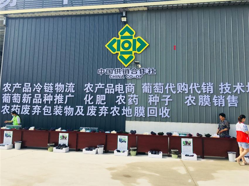 江苏供销让农民当上甩手“田掌柜”