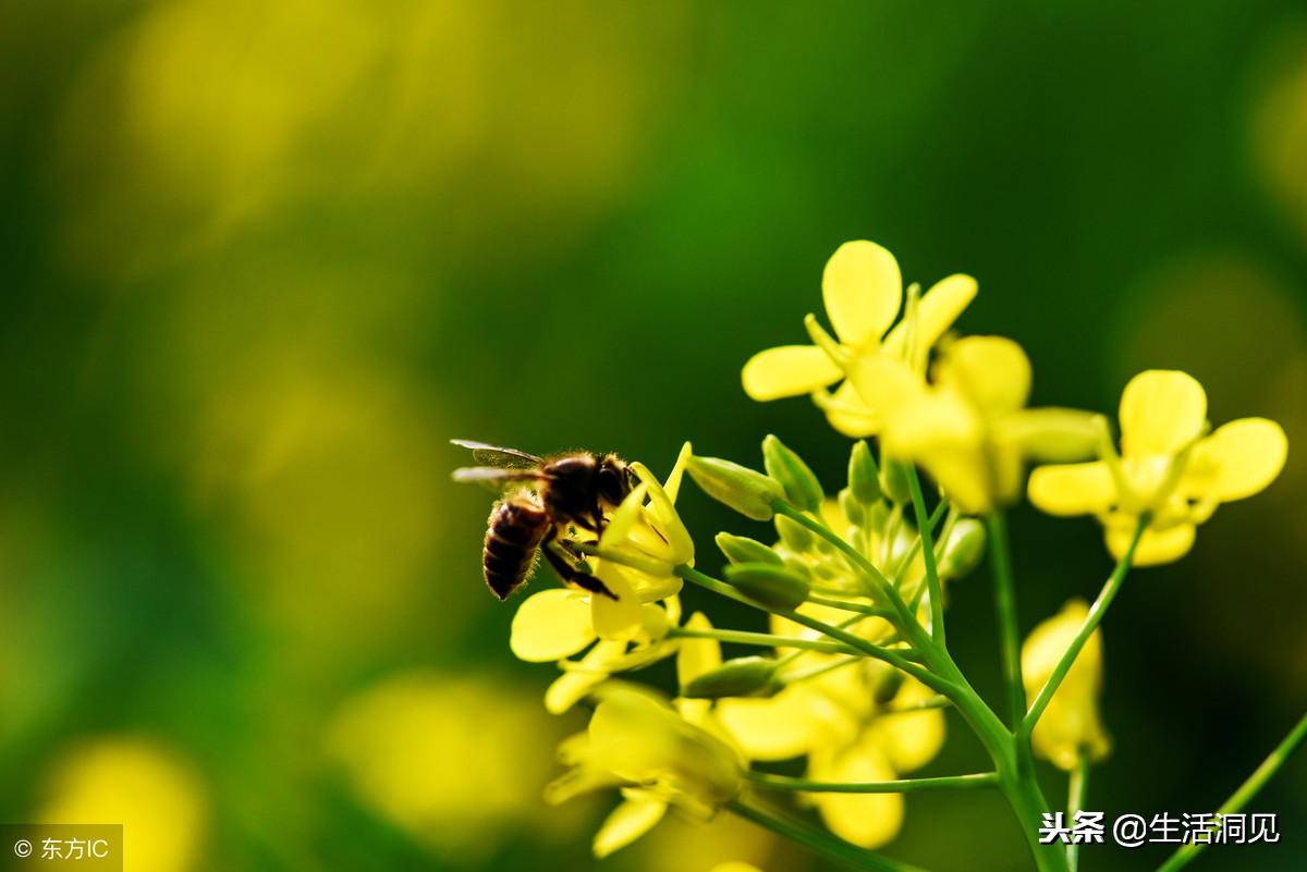 人心叵测要小心提防,人心叵测永远琢磨不透