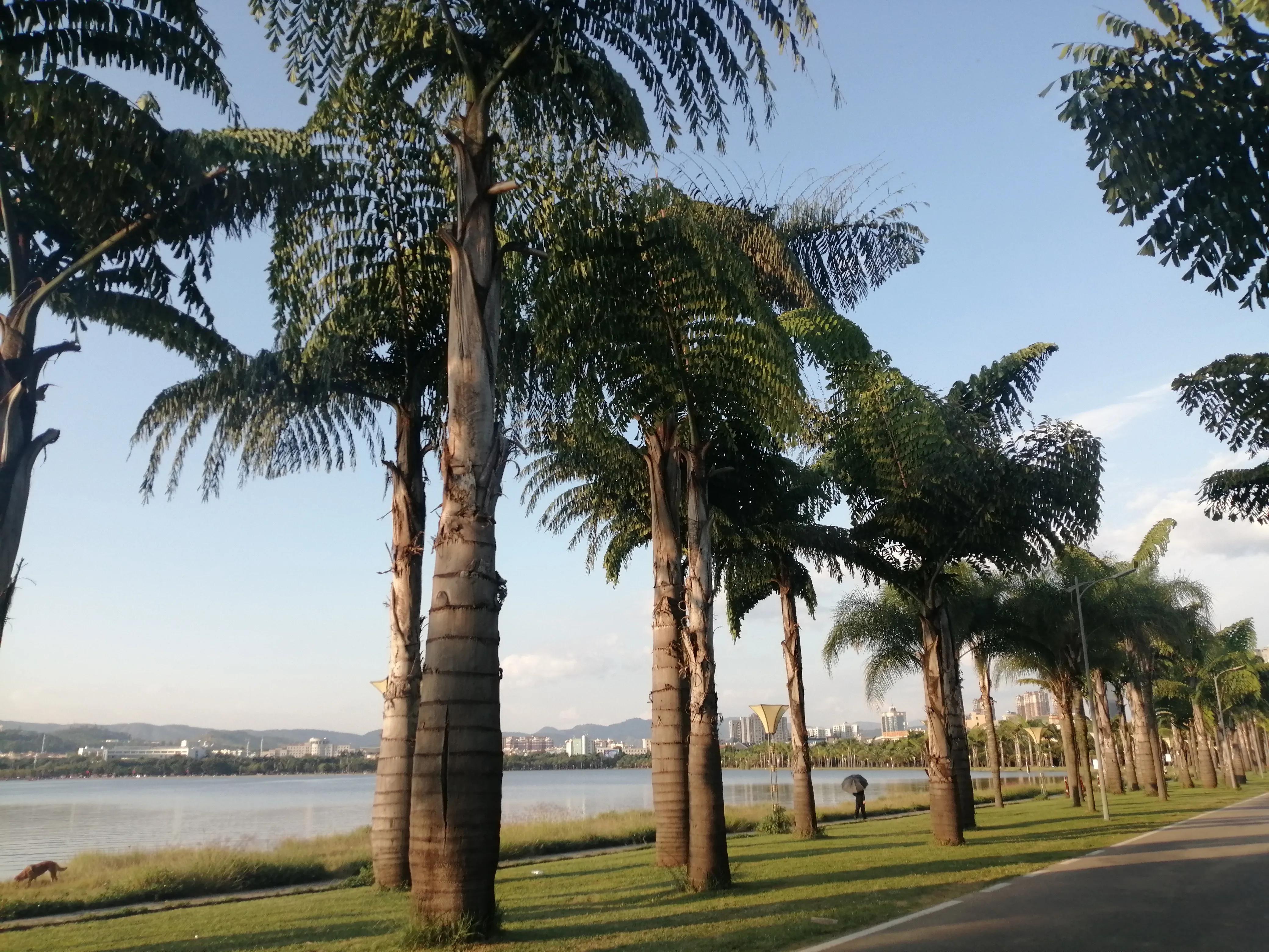 弥勒旅居,10个大家关心的问题