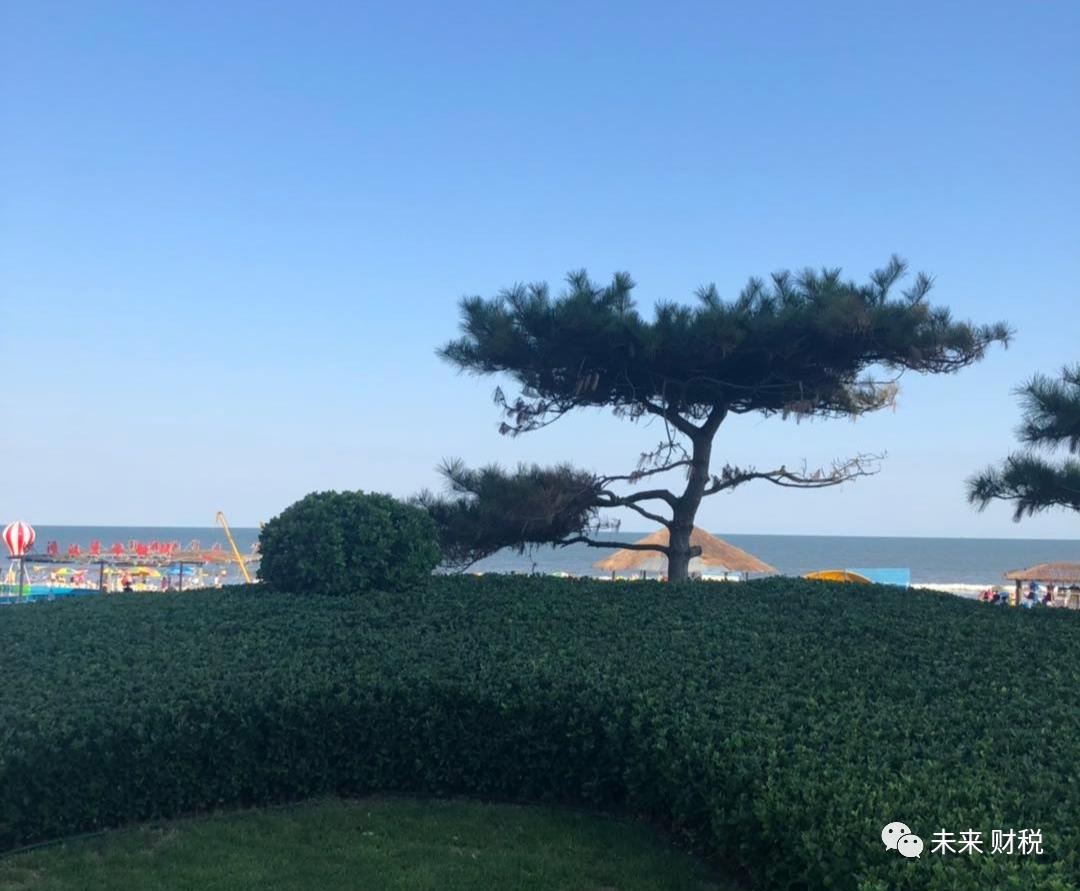 个人转让房产需要交哪些税最新,一般纳税人转让房产需要交什么税