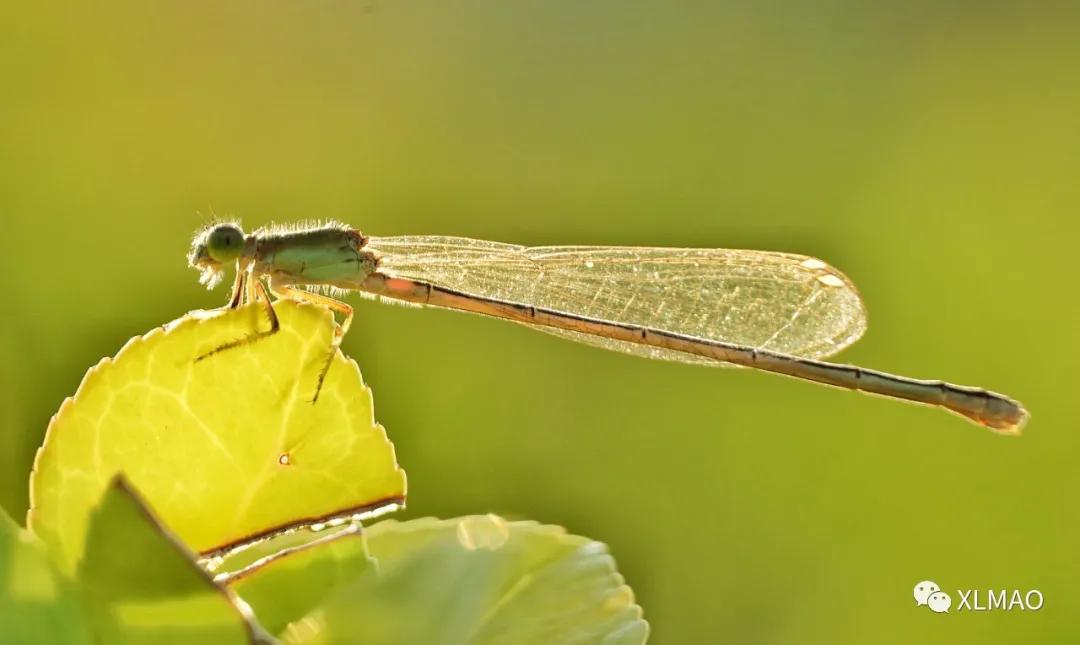 摄影爱好者的拍摄题材,一名业余摄影爱好者的简介