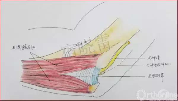 手绘科普视频,手绘类科普