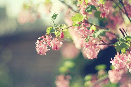 鼓励自己努力的语句励志,积极努力励志的说说简短