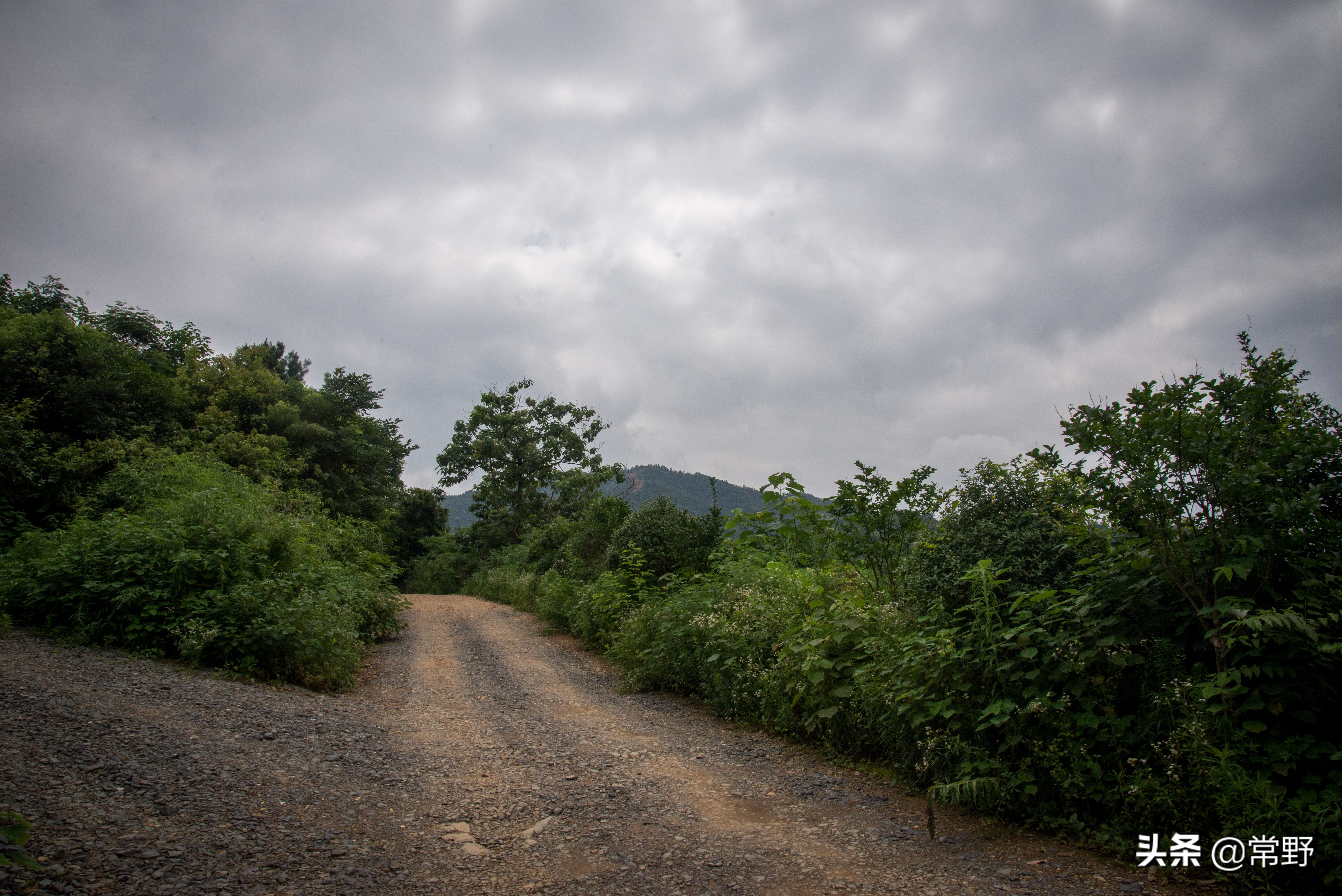 长沙谷山为什么叫谷山,长沙郊野公园