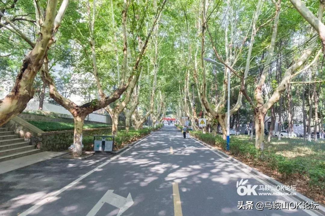 马鞍山十大诡异事,桂林人的迷惑行为