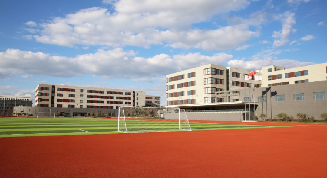 87、解放、新朝阳、力旺等名校咋选?数据说话