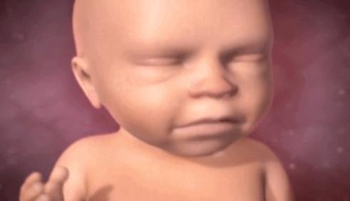 胎儿在妈妈肚子里干什么图片,胎儿在妈妈肚子里的位置变化