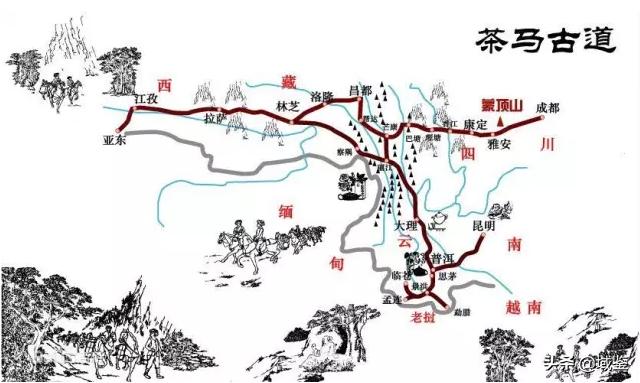 你可能从没意识到，原来这些东西也是*物文**