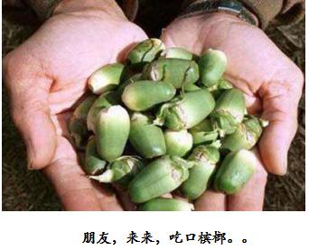 关于海南槟榔的那些二三事“槟榔哥”和“槟榔妹”们有同感吗？