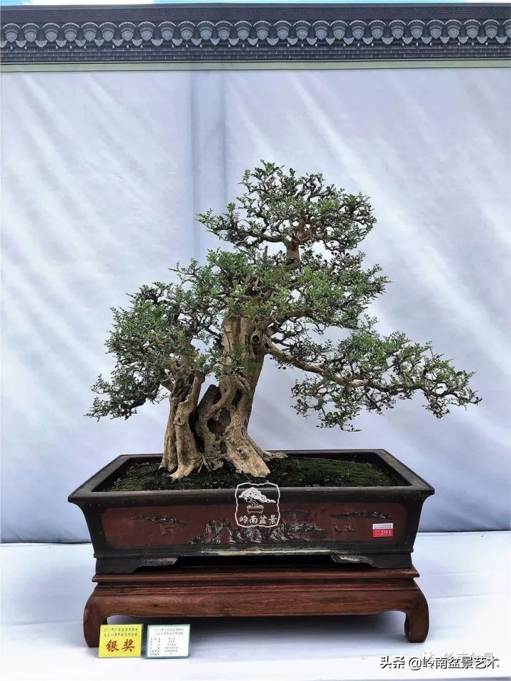 骞哥涔呬箙鐢滅敎铚滆湝,骞哥涔呬箙