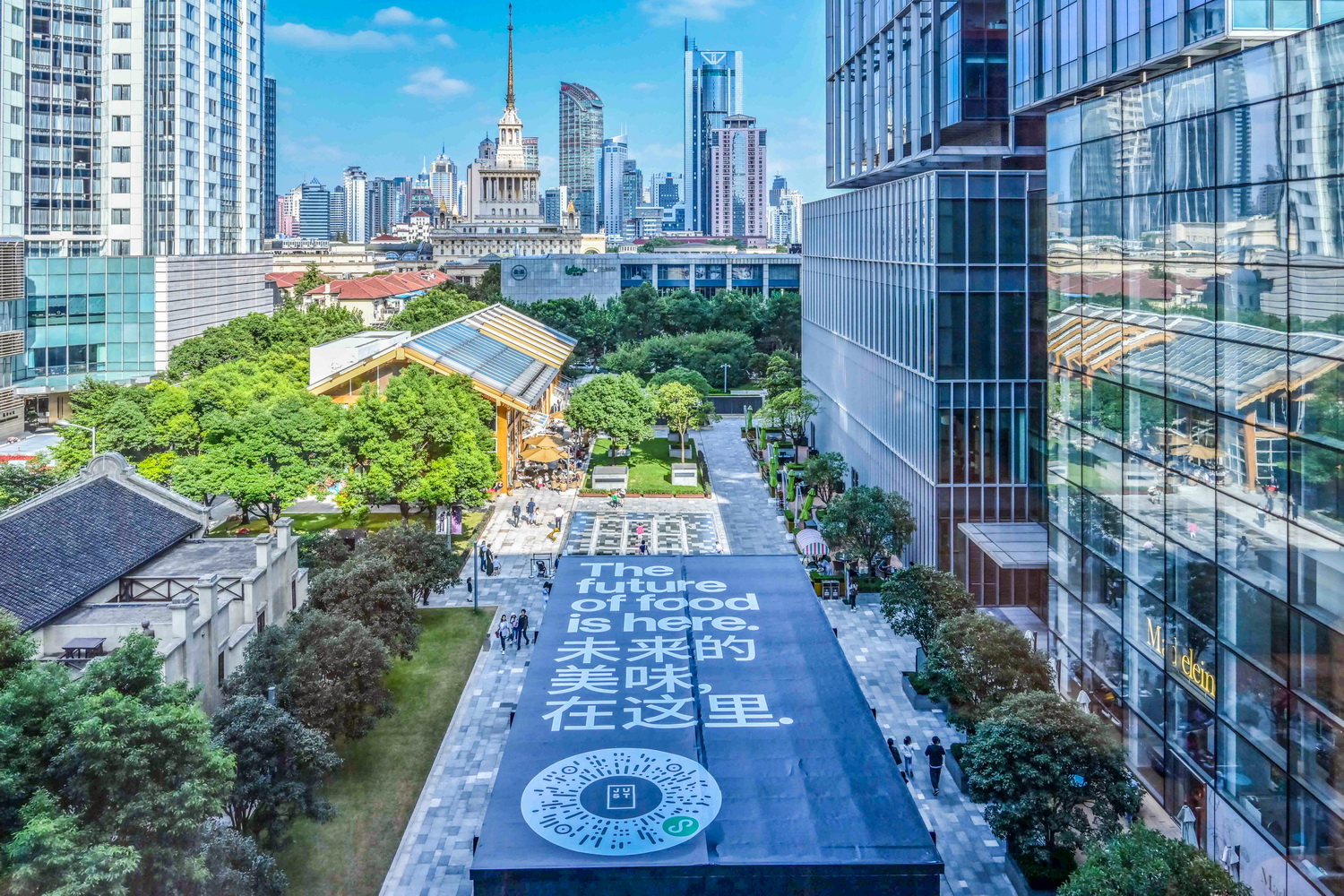 植物种出来的鸡蛋,植物蛋