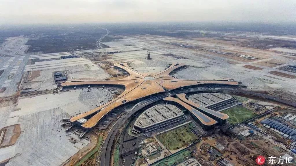 凤凰展翅，飞向未来