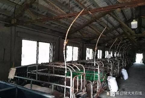 母猪是用产床好还是不用好,母猪产床铸铁好还是复合板好